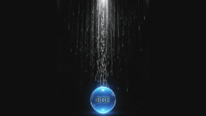 Evolución en Amazon